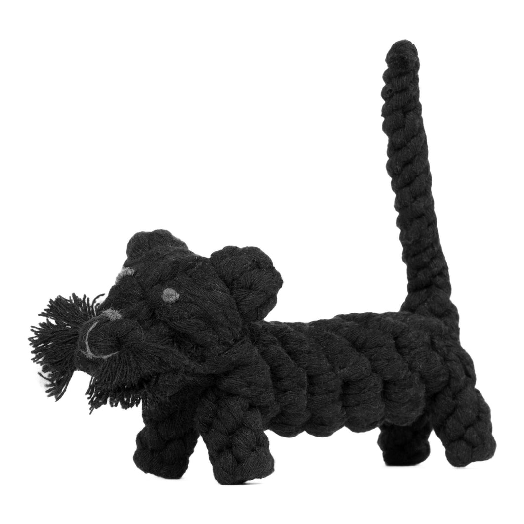 Kater Casanova - Kult-Spielzeug für Hunde