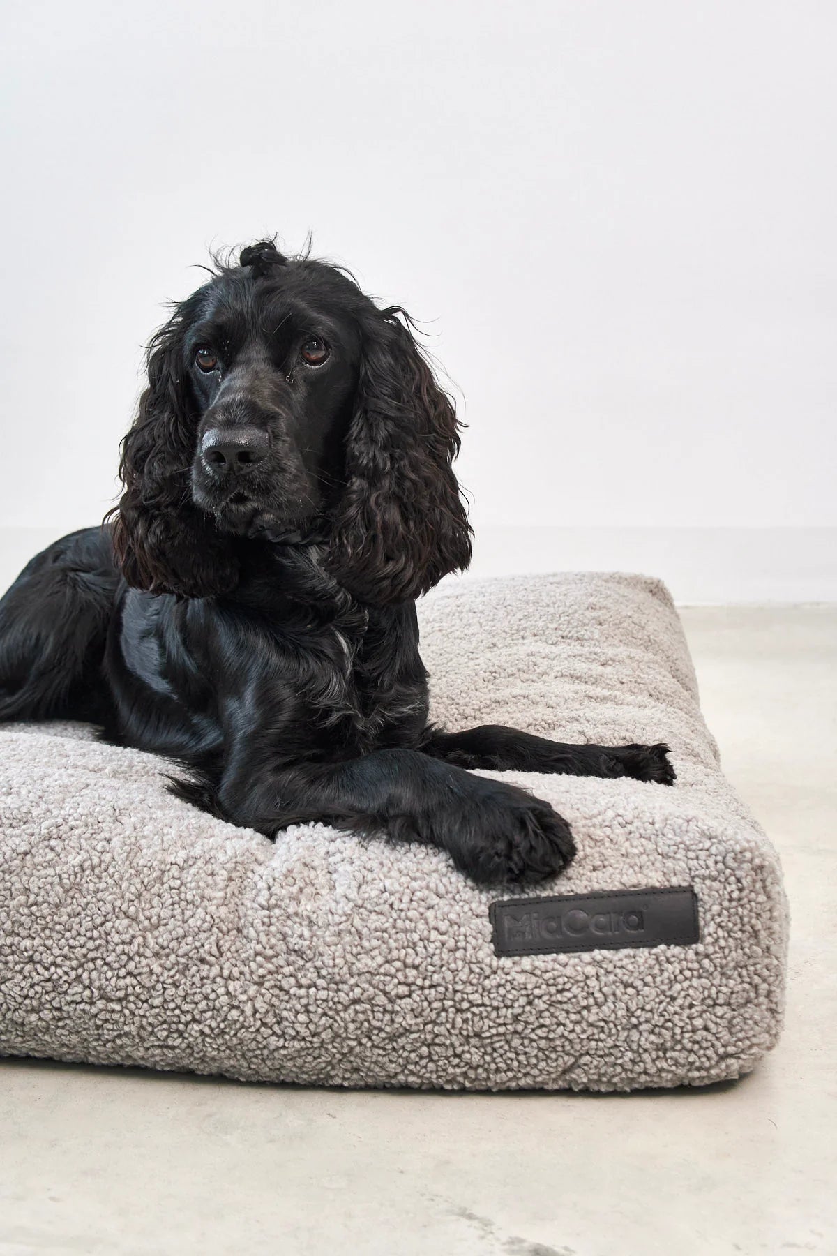 Senso Hundekissen