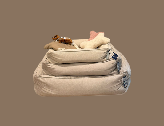 Lieblingsbett