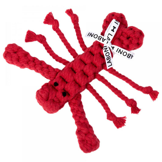 Laboni Lobster klein